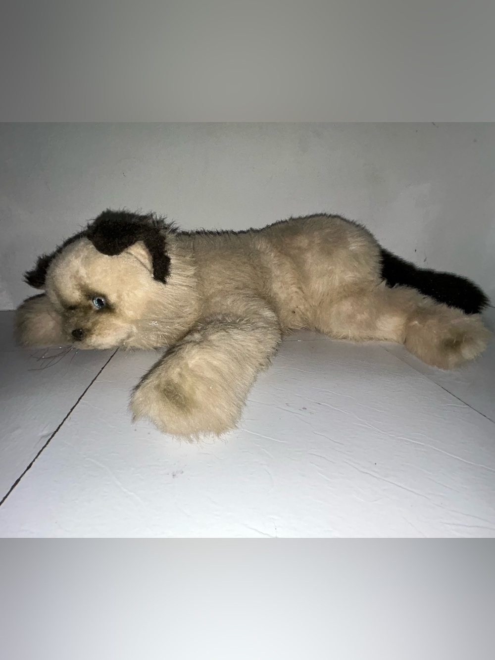 Avanti 1983 Himalayan Cat Plush Cat Cream Color Dark Brown Ears & Tail 24"